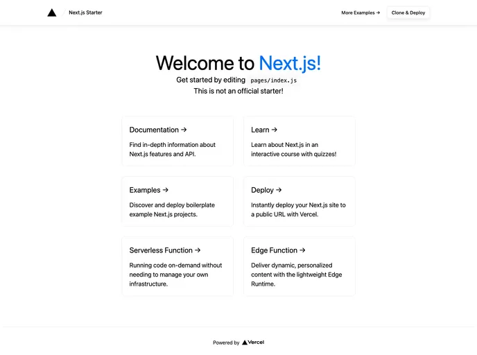 Nextjs Starter screenshot